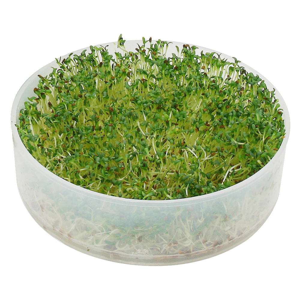 Kitchen Crop 4-Tray Sprouter - Image 5